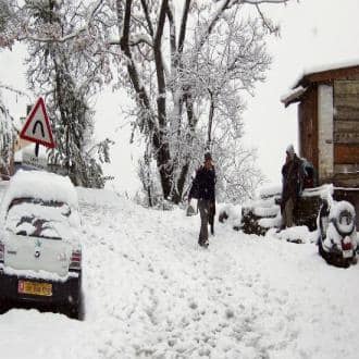 Stay In The Heart Of Himalayas, Dharamshala 5
